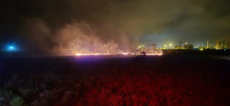 Wildfires ravage South Africa’s Western Cape, destroying homes
