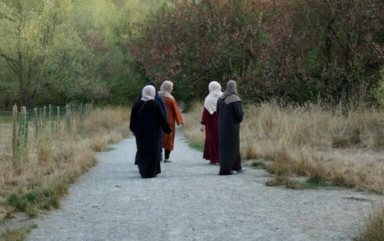 Video emerges of horrific hit-and-run on woman in hijab