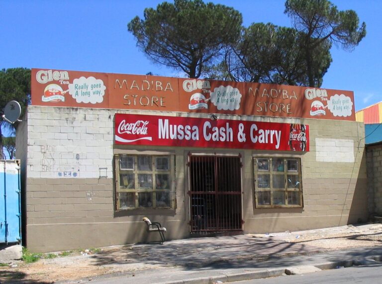 Immigrants quietly sustain South Africa’s food system as hunger deepens