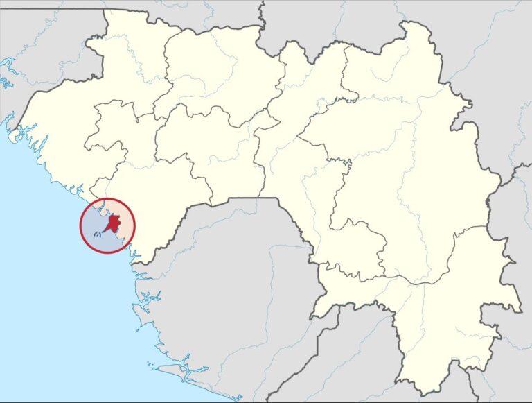 At least 30 dead as mountain of waste buries homes in Guinea