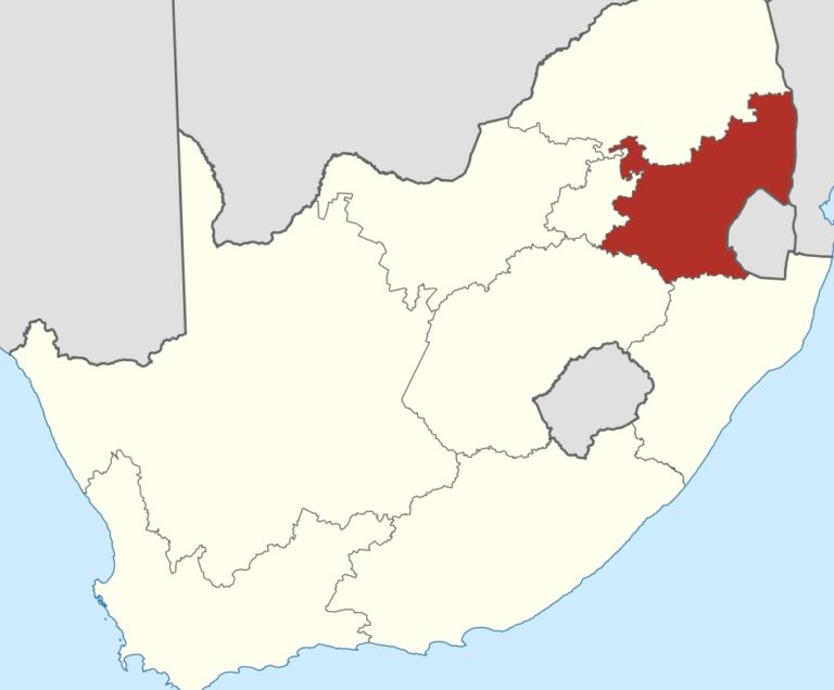 South Africa: Pastor and wife arrested after 200 people found chained at illegal rehab centre